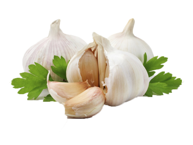 Fresh Garlic Bulbswith Parsley Leaves.png PNG Image