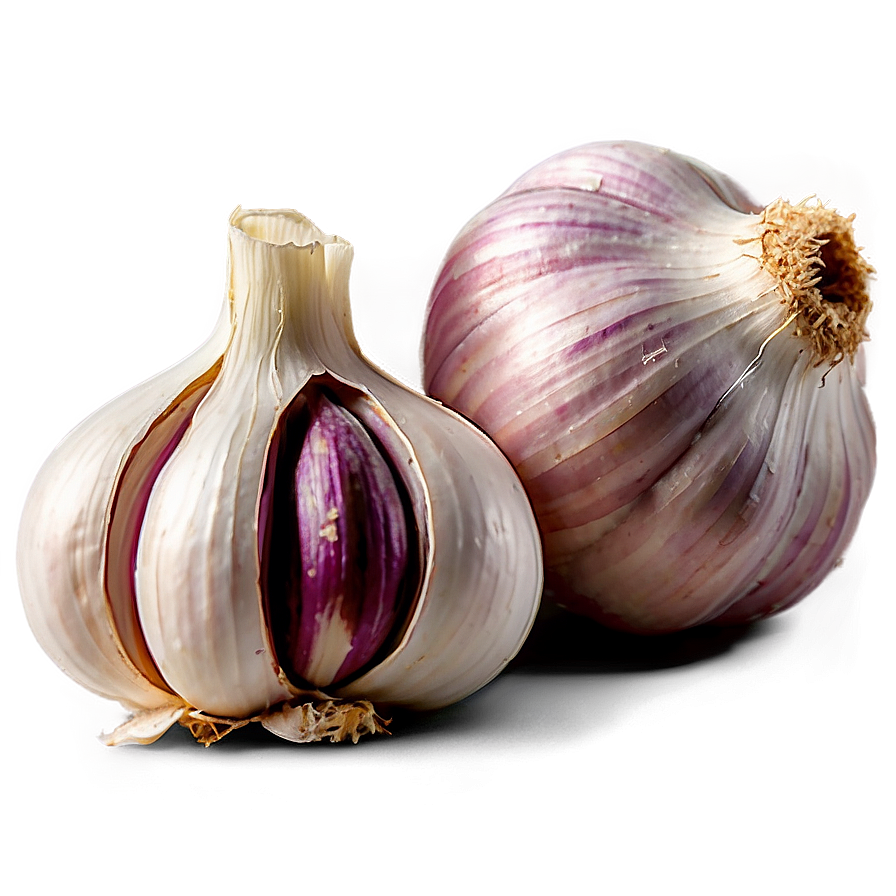 Fresh Garlic Png 95 PNG Image