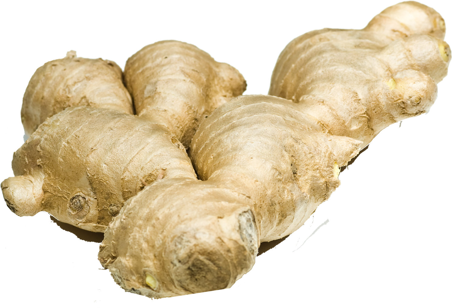 Fresh Ginger Root Isolated.png PNG Image