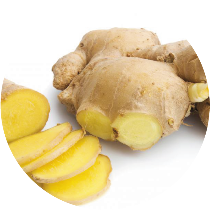 Fresh Ginger Rootand Slices.png PNG Image