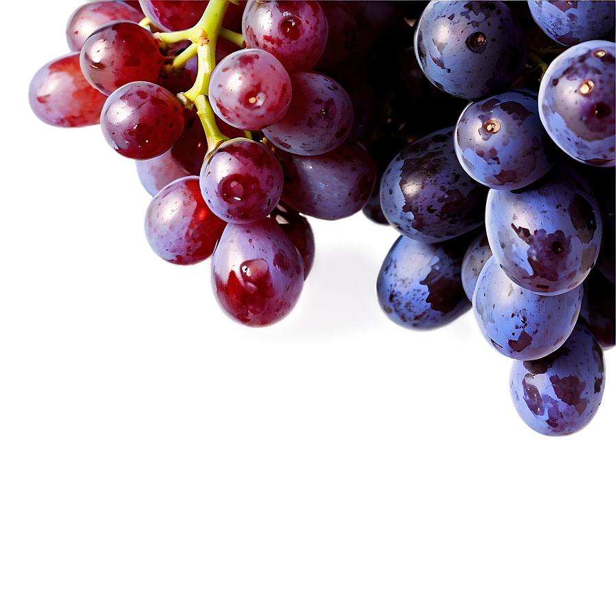 Fresh Grapes Png 22 PNG Image