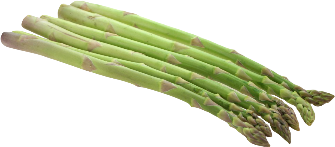 Fresh Green Asparagus Bundle.png PNG Image