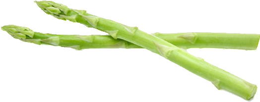 Fresh Green Asparagus Stalks PNG Image