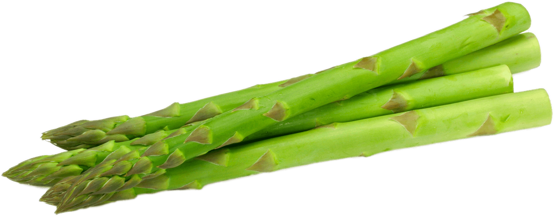 Fresh Green Asparagus Stalks.png PNG Image