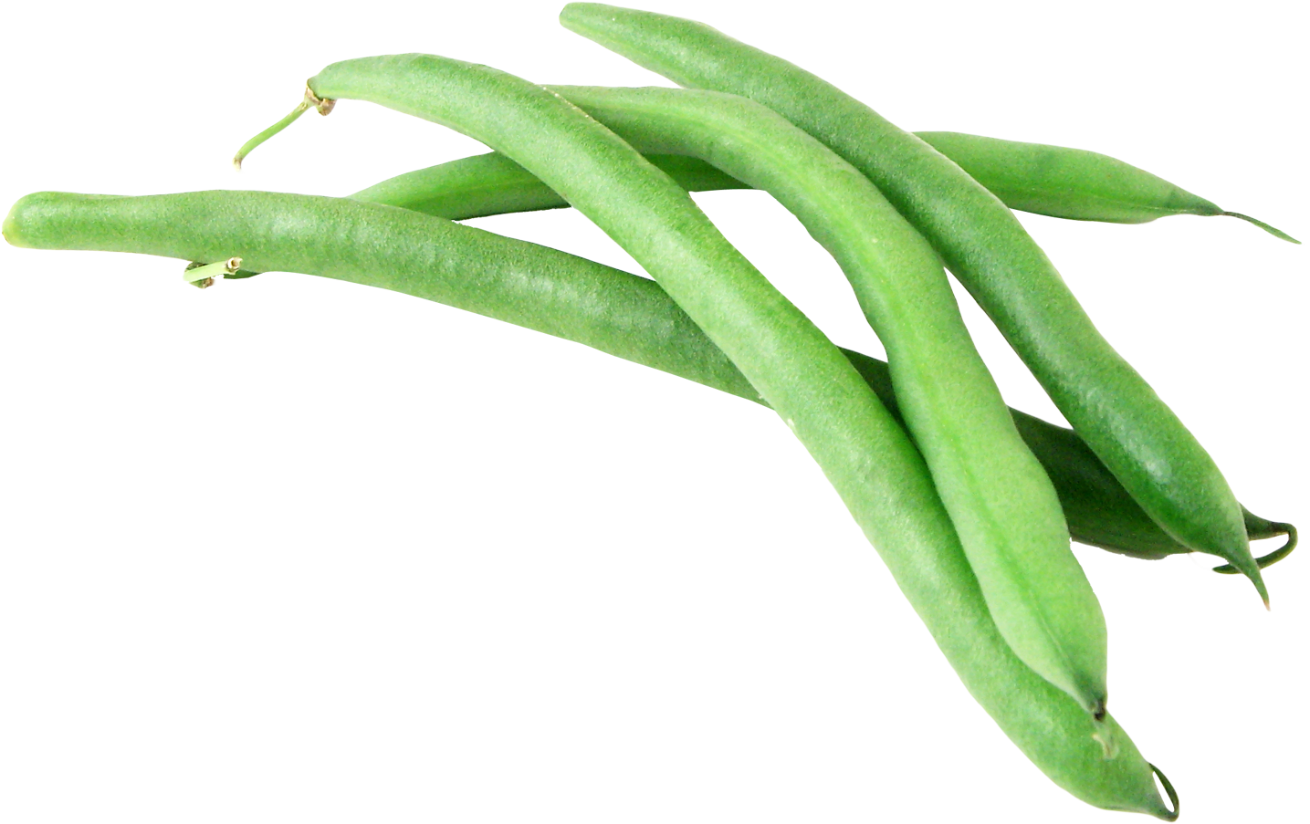 Fresh Green Beans Isolated PNG Image