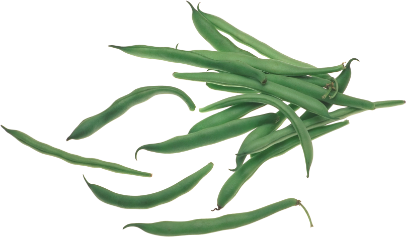 Fresh Green Beans Isolated PNG Image