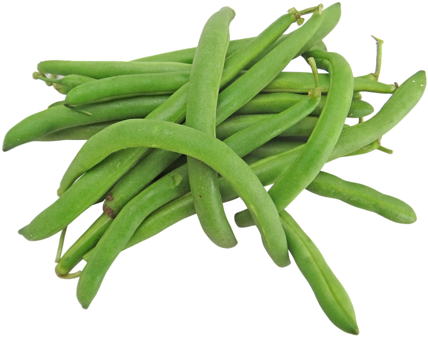 Fresh Green Beans P N G Image PNG Image