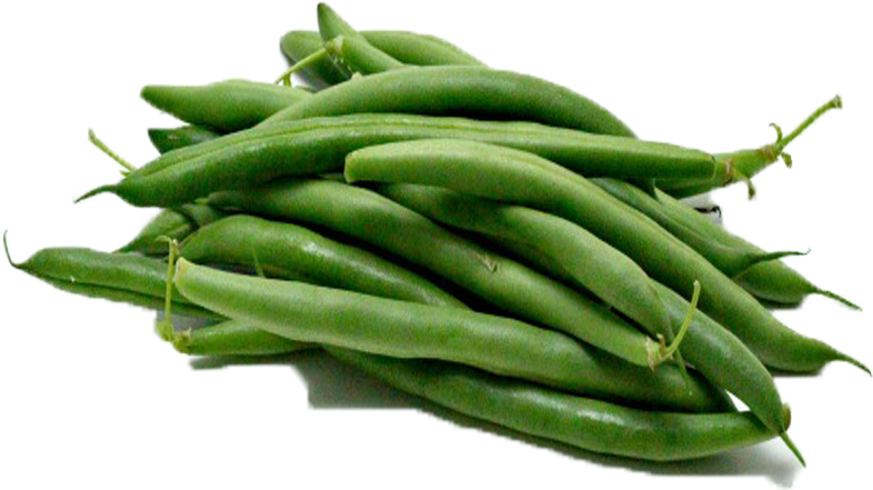 Fresh Green Beans P N G Transparent Background PNG Image