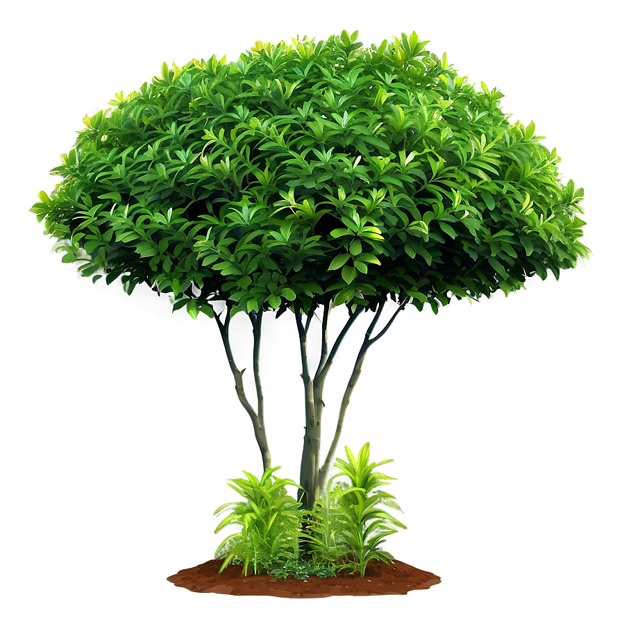 Fresh Green Bush Png 15 PNG Image