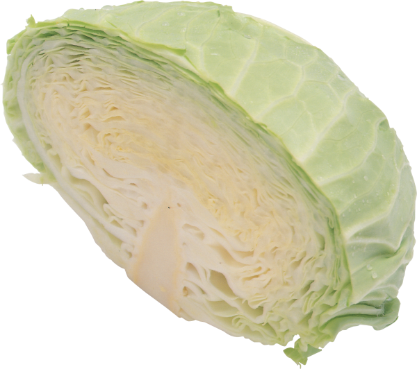 Fresh Green Cabbage Half Cut Transparent Background PNG Image