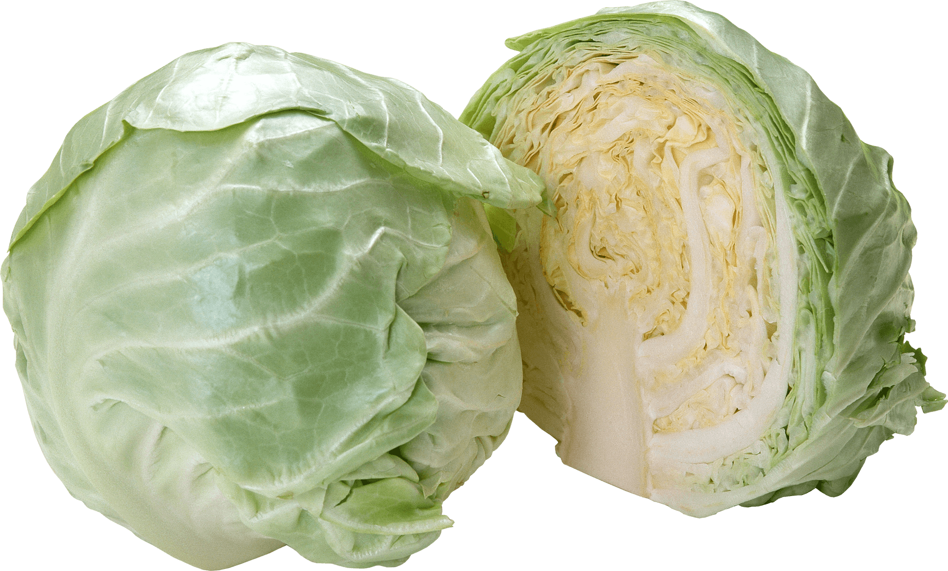 Fresh Green Cabbage Halfand Whole PNG Image