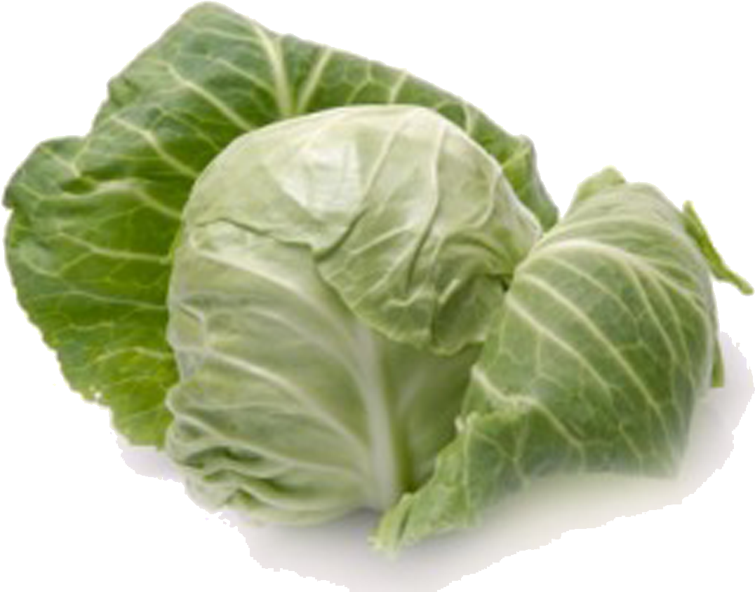 Fresh Green Cabbage Isolated PNG Image