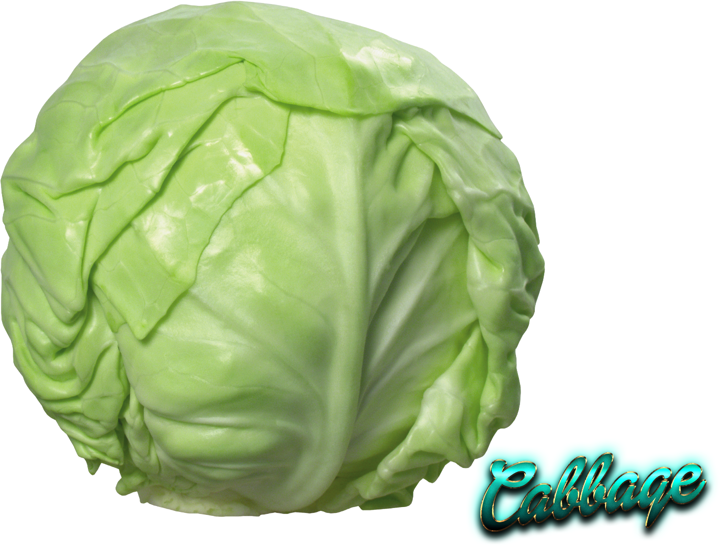 Fresh Green Cabbage PNG Image