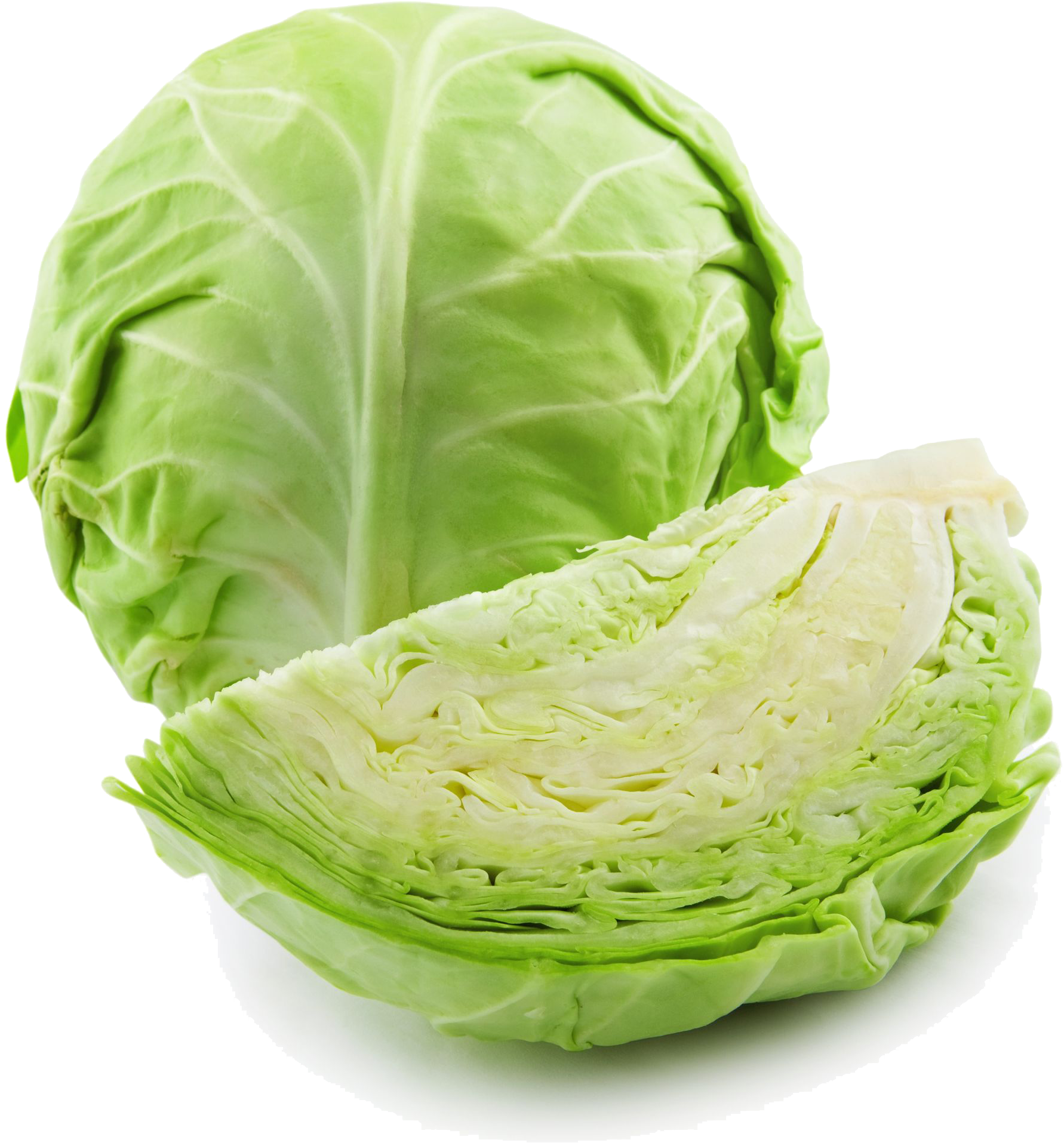 Fresh Green Cabbagewith Cut Section.png PNG Image