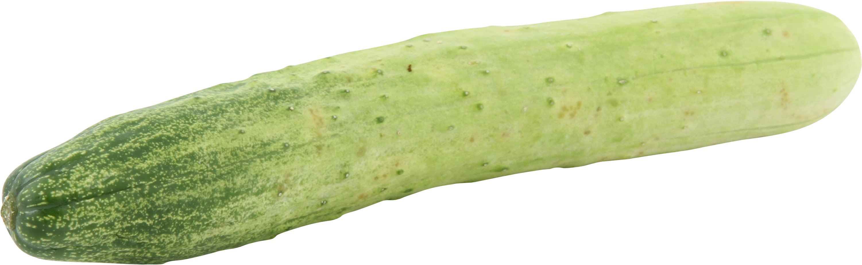 Fresh Green Cucumber Isolated PNG Image