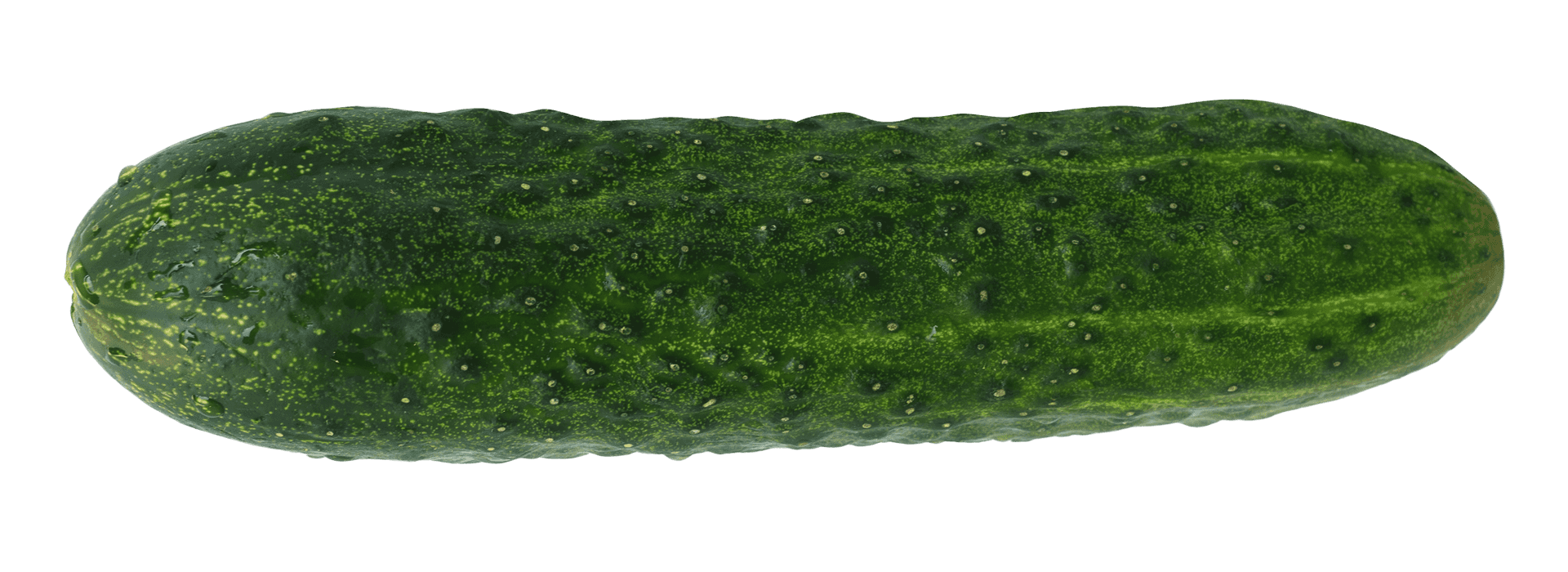 Fresh Green Cucumber PNG Image