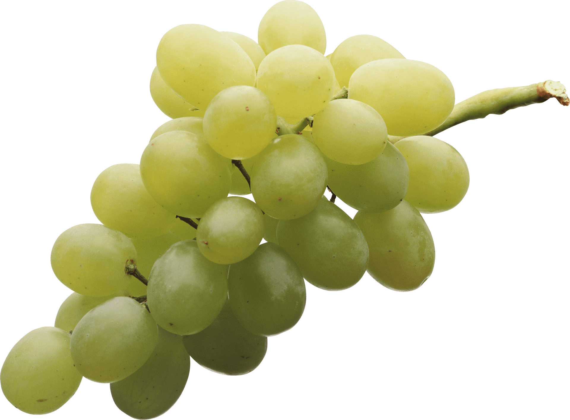 Fresh Green Grape Cluster.png PNG Image