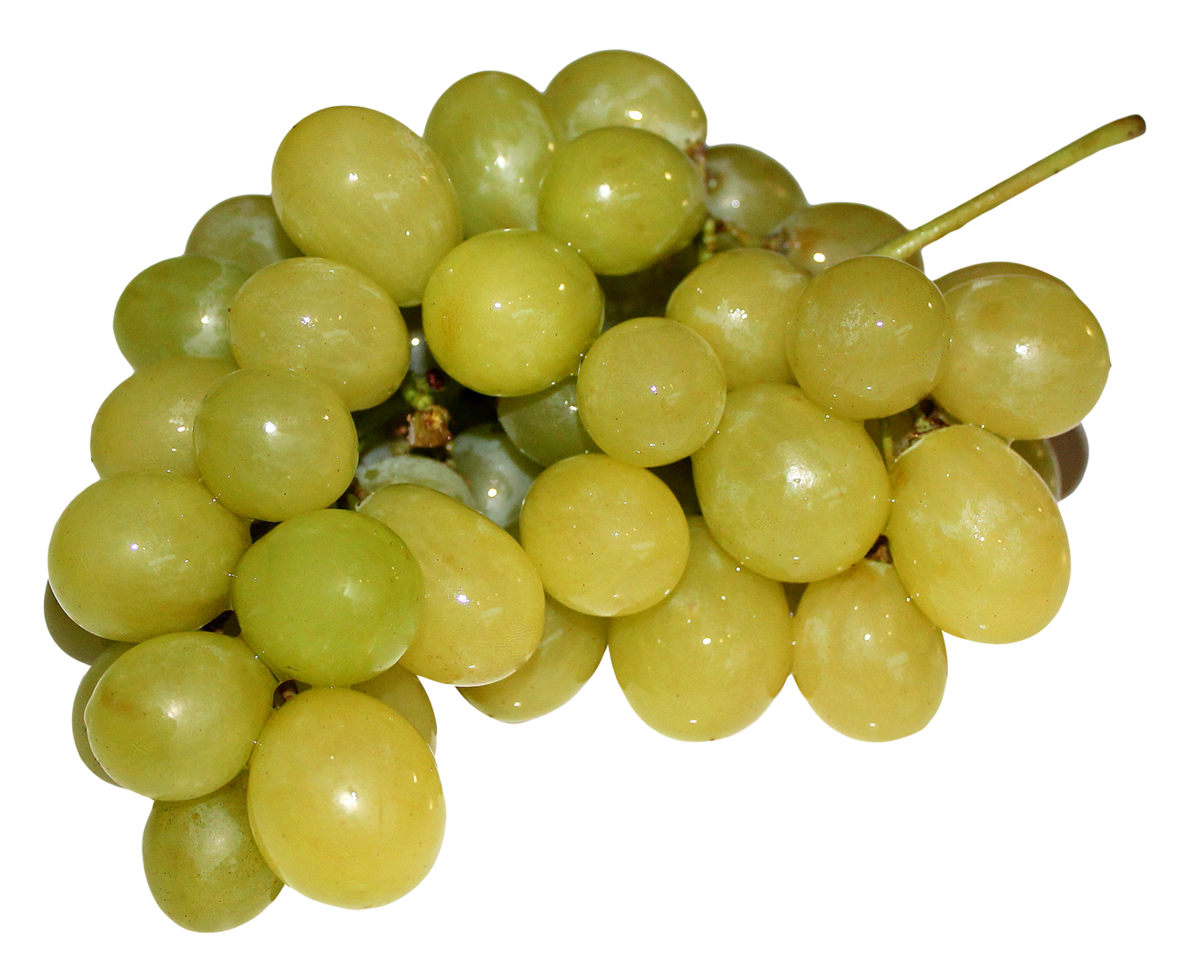 Fresh Green Grapes Cluster.png PNG Image