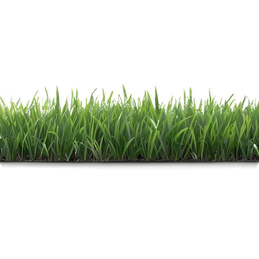 Fresh Green Grass Png 38 PNG Image