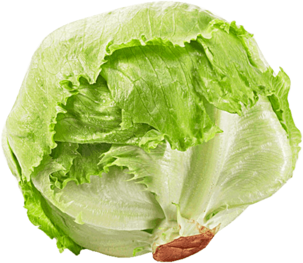 Fresh Green Iceberg Lettuce PNG Image