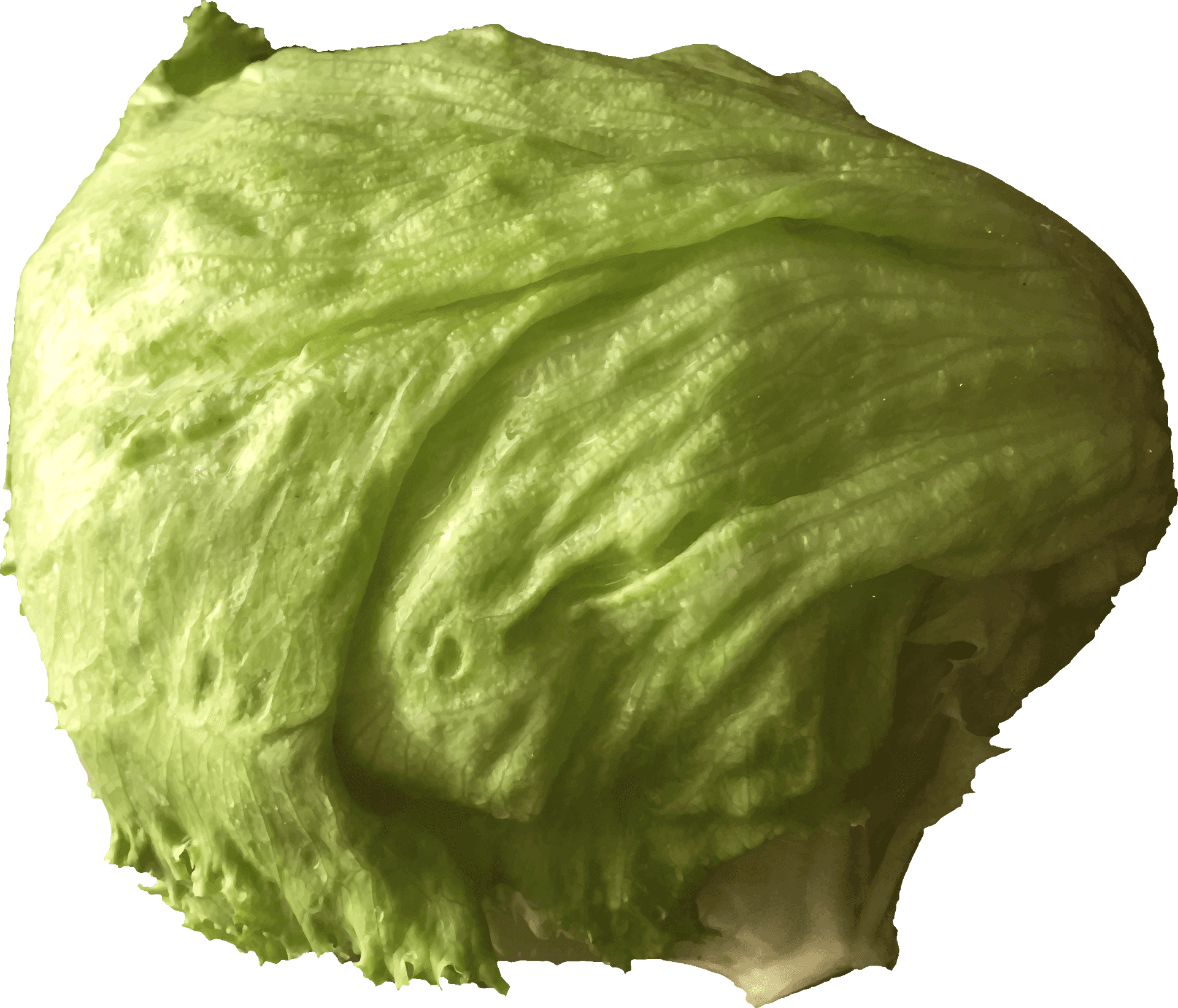 Fresh Green Iceberg Lettuce PNG Image