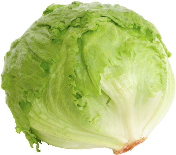 Fresh Green Iceberg Lettuce PNG Image