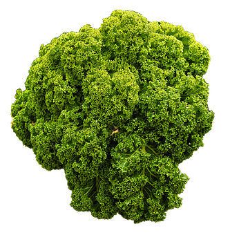 Fresh Green Kale Black Background PNG Image