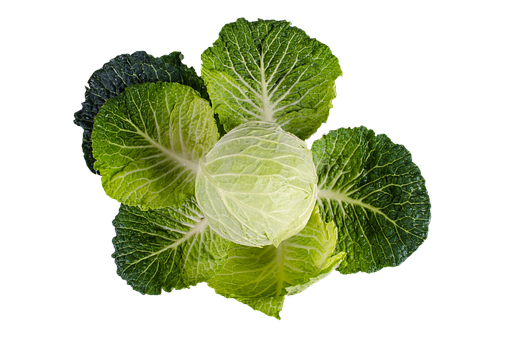 Fresh Green Kale Leaves Black Background PNG Image