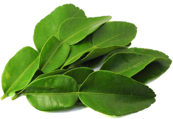 Fresh Green Leaves Transparent Background PNG Image