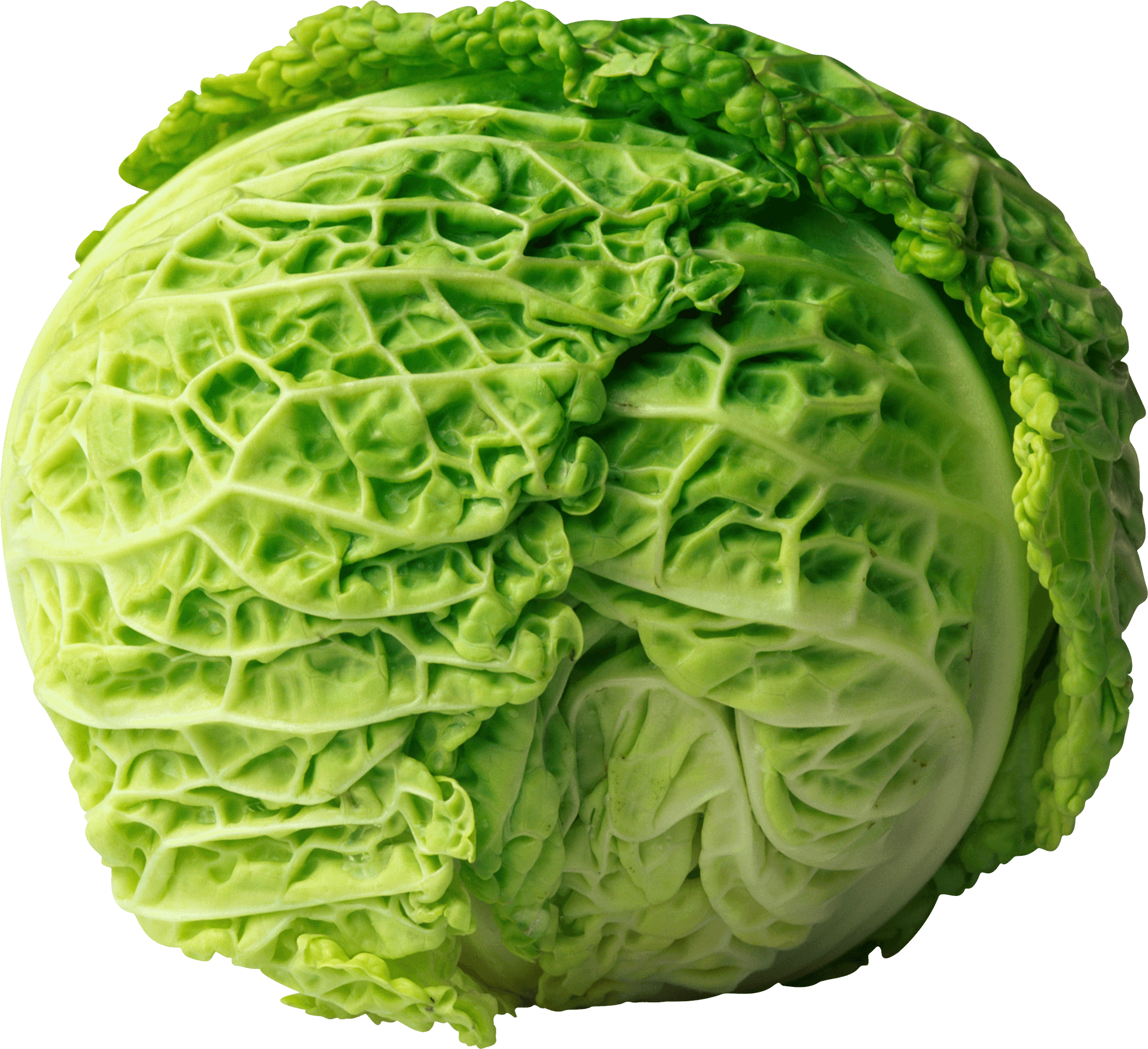 Fresh Green Lettuce Head PNG Image