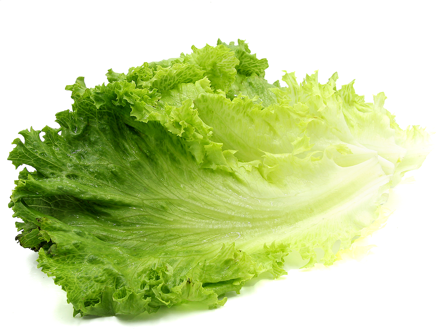 Fresh Green Lettuce Leaves.png PNG Image