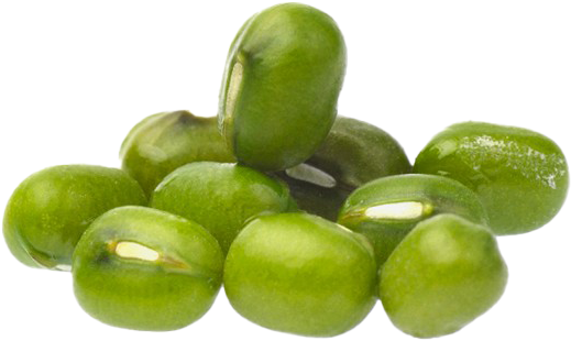 Fresh Green Mung Beans Isolated PNG Image