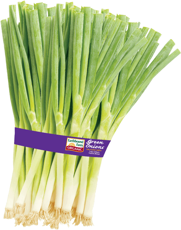 Fresh Green Onions Bundle PNG Image