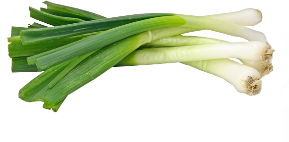 Fresh Green Onions Isolated PNG Image