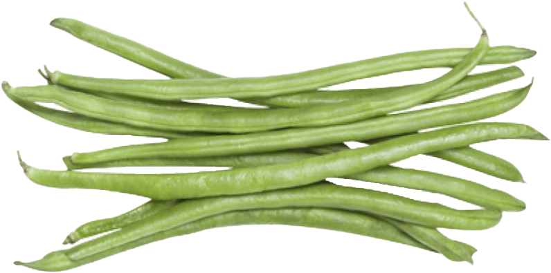 Fresh Green String Beans Isolated PNG Image