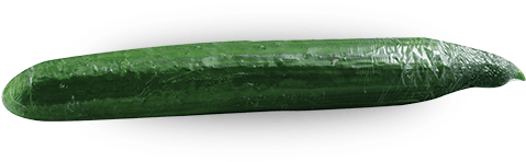 Fresh Green Zucchini Vegetable PNG Image