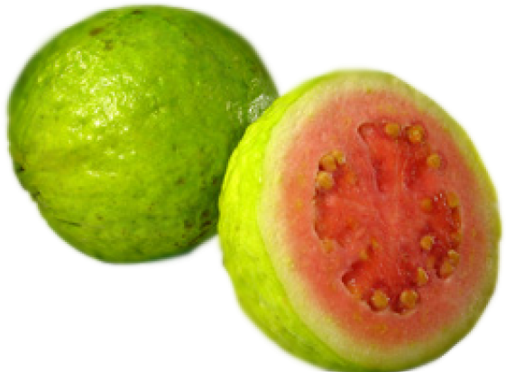 Fresh Guava Fruit Cutand Whole PNG Image