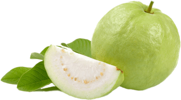 Fresh Guavaand Slice.png PNG Image