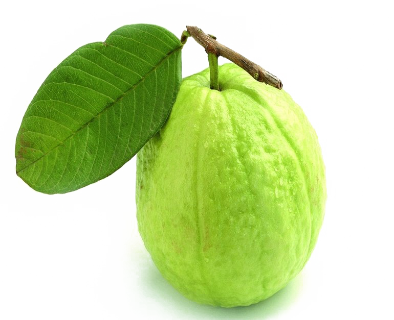 Fresh Guavawith Leaf PNG Image