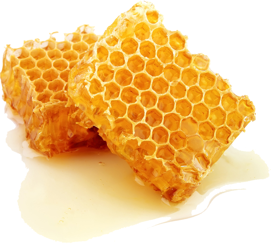 Fresh Honeycomb Pieces PNG Image