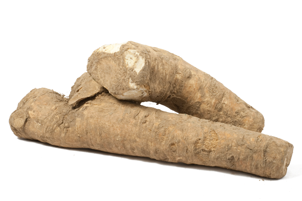 Fresh Horseradish Roots PNG Image