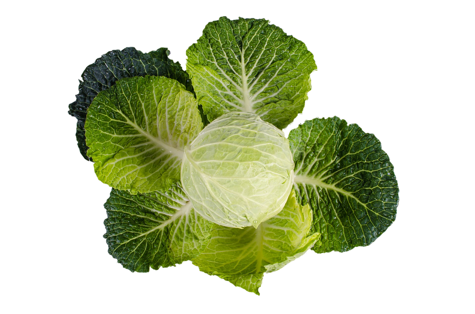 Fresh Kale Leaves Isolated PNG Image