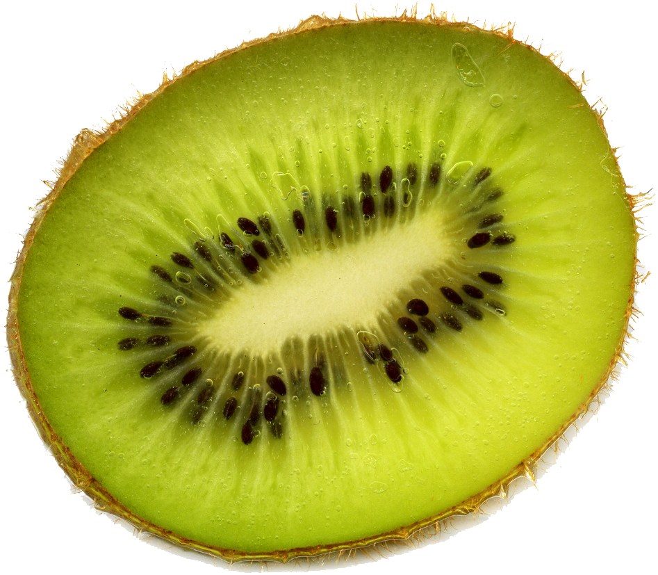 Fresh Kiwi Slice Closeup.png PNG Image