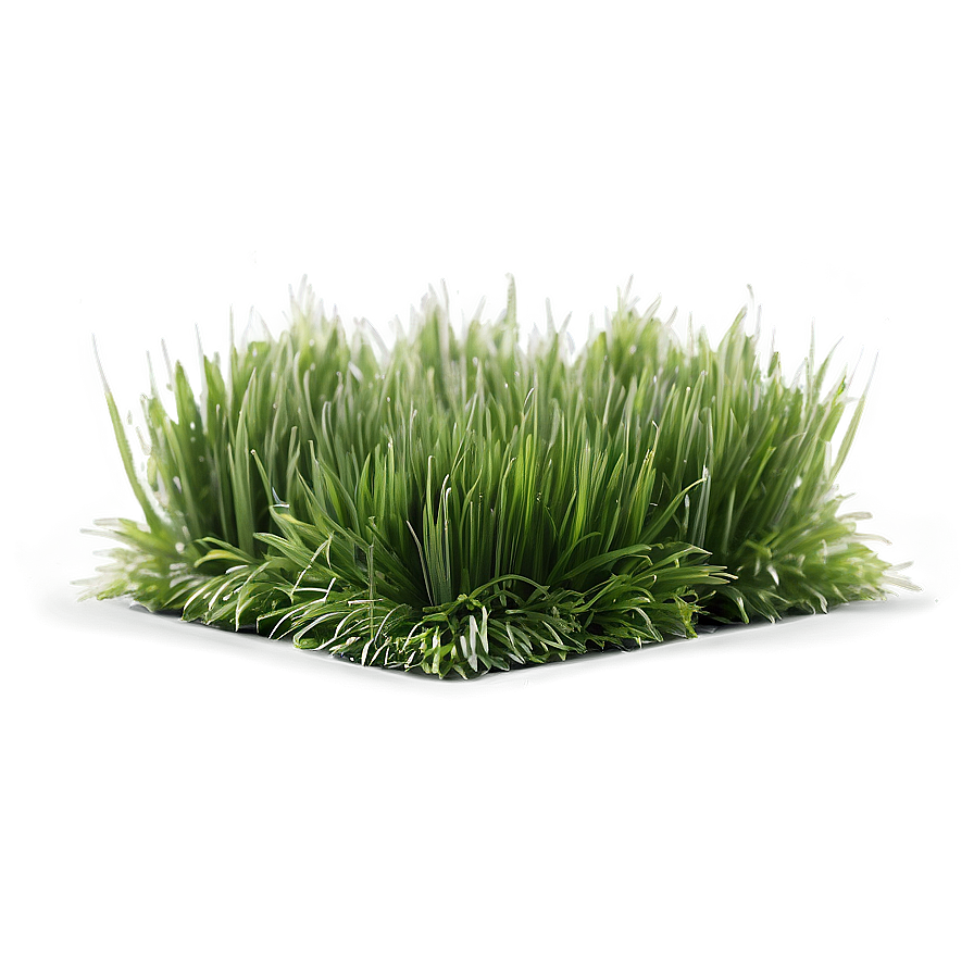 Fresh Lawn Grass Png Nxj PNG Image