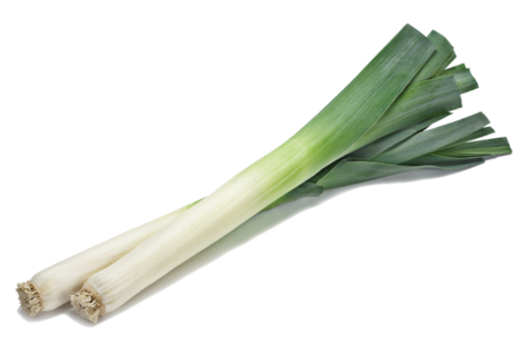 Fresh Leek Vegetable Isolated PNG Image