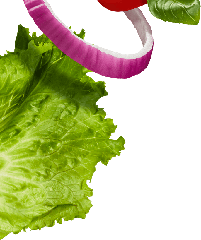 Fresh Lettuceand Vegetables Floating PNG Image