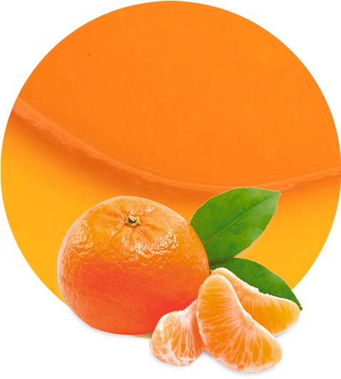 Fresh Mandarin Orange Slices PNG Image