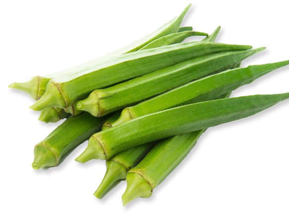 Fresh Okra Pods Isolated PNG Image