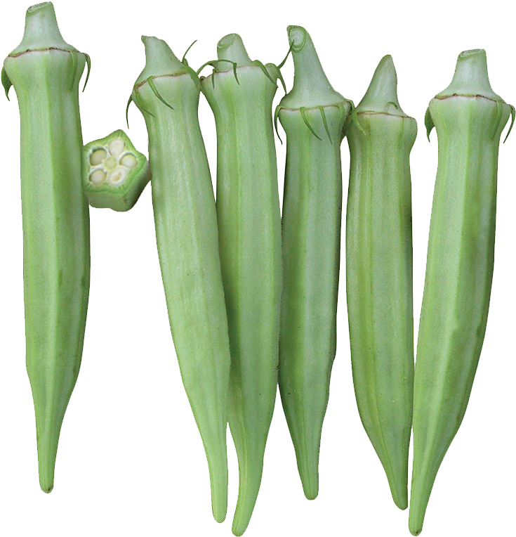 Fresh Okra Pods Transparent Background PNG Image