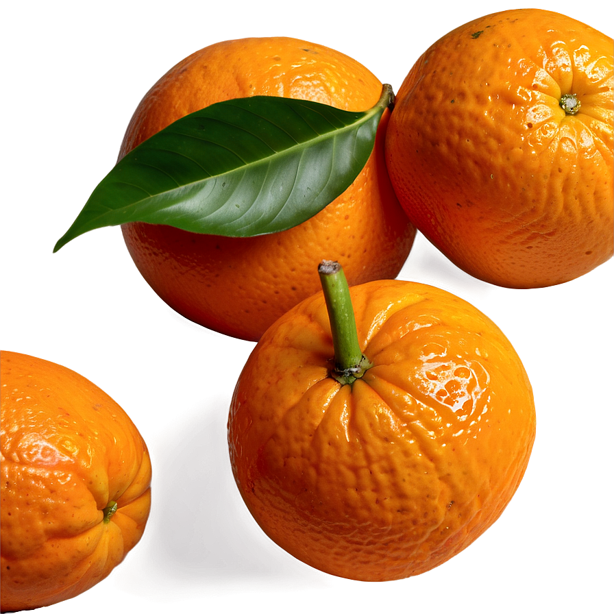 Fresh Orange Png 05032024 PNG Image